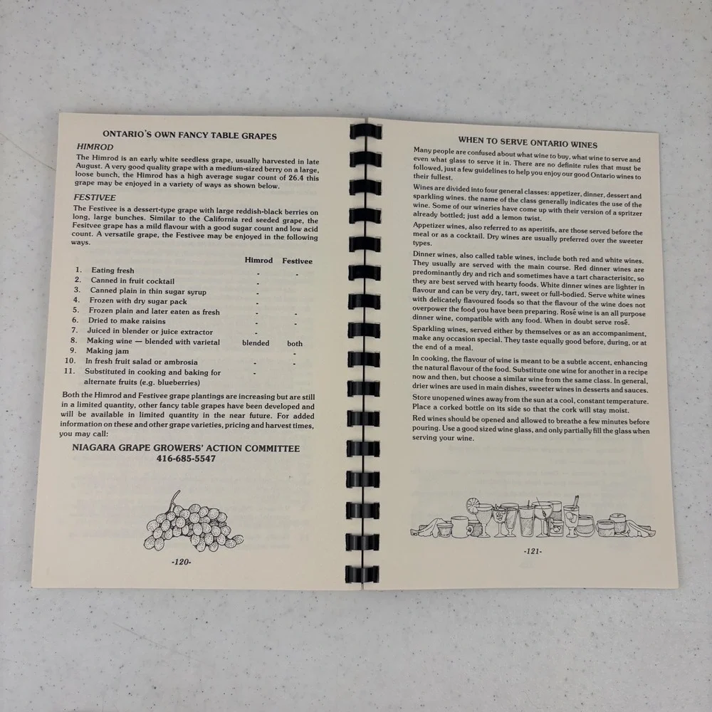 Experience‎ a Taste of Wine Grape & Wine Recipes Cookbook Ontario 1985 Vintage